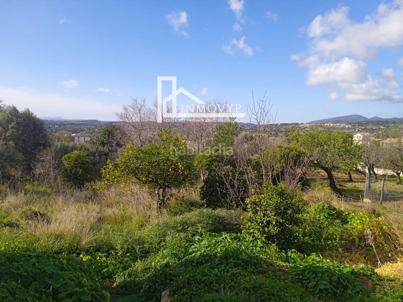 Foto fca9b353-3acf-417d-bf21-3addc958b40a. Casa planta baja típica mallorquina en Campanet