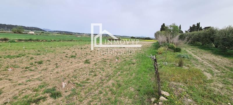 Foto 2080d758-4d10-43b3-a510-af998750cf9e. Finca rústica a Maria de la Salut