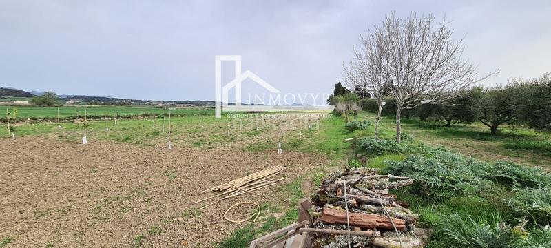 Foto 22037f7b-9dea-44e7-b483-55853da908a8. Finca rústica a Maria de la Salut