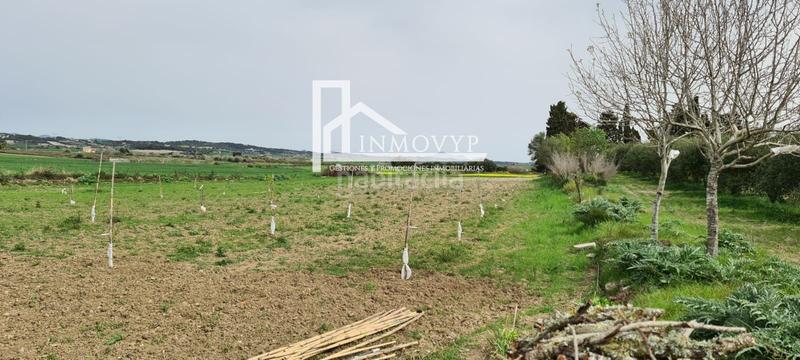 Foto c55bd19d-df26-40e1-a26f-96913cffb4b9. Finca rústica a Maria de la Salut