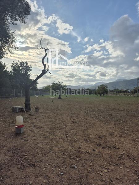 Foto 18bcbebc-63d5-4ebc-b57f-b11645d7bffd. Masia a Cristo Rey-Parque Europa Inca