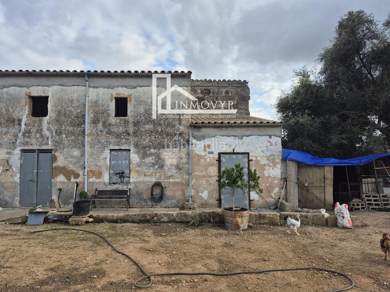 Foto 702f7500-32ed-46c0-88d3-6b13a27b091b. Masia a Cristo Rey-Parque Europa Inca