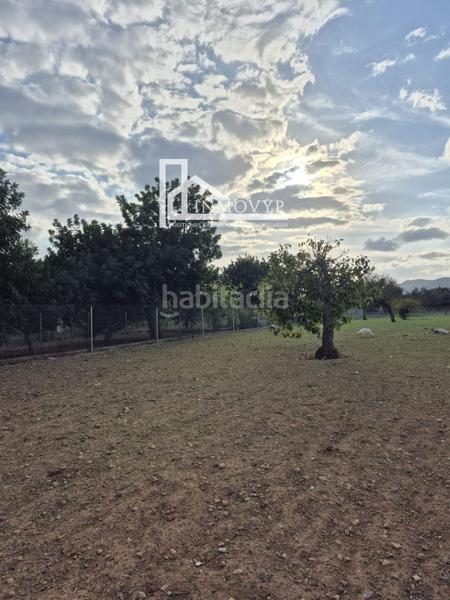 Foto 7a9b3970-3d86-460c-a04b-cc869f2127e1. Masia a Cristo Rey-Parque Europa Inca