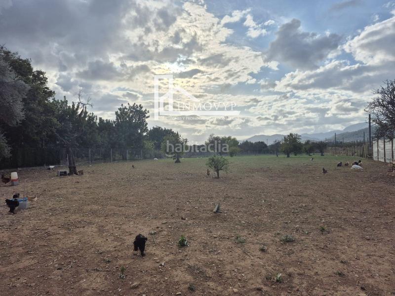 Foto 8e5daf0b-5166-4d79-b890-66bc6aea377a. Masia a Cristo Rey-Parque Europa Inca