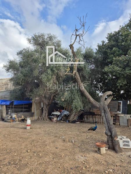 Foto 9303ef14-bb36-49b6-88a0-aaf41e058341. Masia a Cristo Rey-Parque Europa Inca