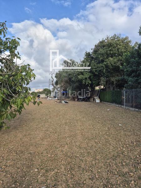 Foto c57dbe25-9573-4e5a-8053-7f4c178e5a8d. Masia a Cristo Rey-Parque Europa Inca