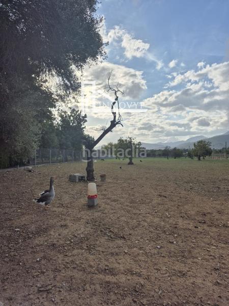 Foto cd779307-a2bc-43dd-b362-21b0c526ce08. Masia a Cristo Rey-Parque Europa Inca