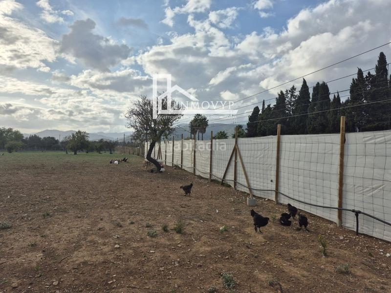 Foto d084acbc-ebba-4cff-902f-c2ed4a2df378. Masia a Cristo Rey-Parque Europa Inca