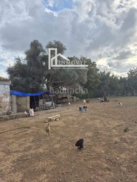 Foto dbfd4694-5713-4e27-8245-daa5d630a1b5. Masia a Cristo Rey-Parque Europa Inca