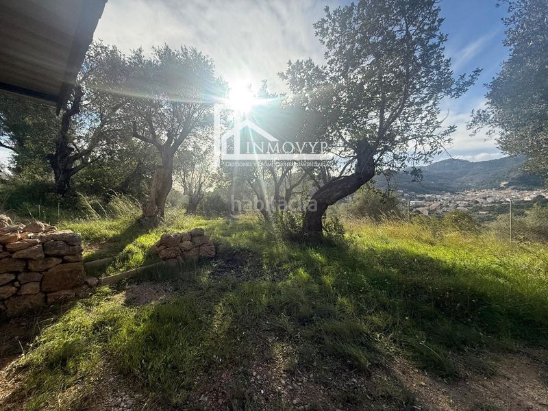 Foto 31a7cf8d-955c-49ed-95ab-bed96861b063. Masia a Mancor de la Vall