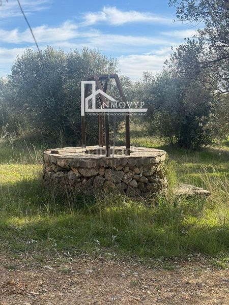 Foto 6fa8a37f-0252-46e2-b7d7-b037dbab2d5d. Masia a Mancor de la Vall