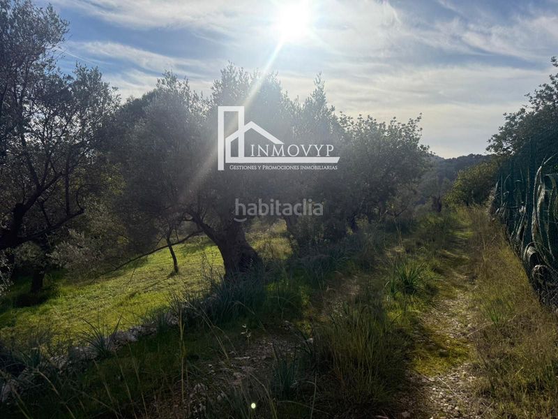 Foto 7199871e-462b-497b-81ae-7f5d4eb9848b. Masia a Mancor de la Vall