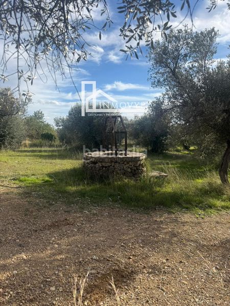 Foto ceb094b2-baec-4c45-aee3-d07ca4f12da2. Masia a Mancor de la Vall