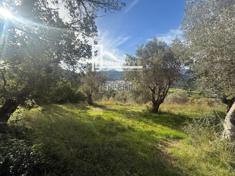 Foto fd7b6f6f-1113-4436-8b2f-300b53079e8b. Masia a Mancor de la Vall