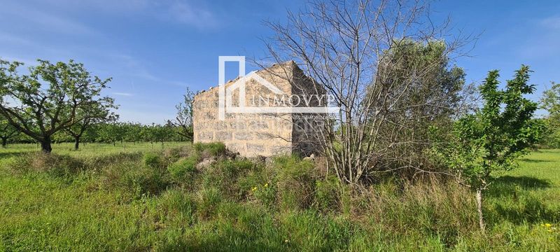 Foto 9b10e9cd-7868-47ae-b4c6-69496ae91d20. Masia a Es Blanquer Inca