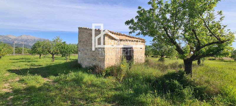 Foto b1c54c88-cbde-4b1b-8a45-00bc48dfc6ab. Masia a Es Blanquer Inca