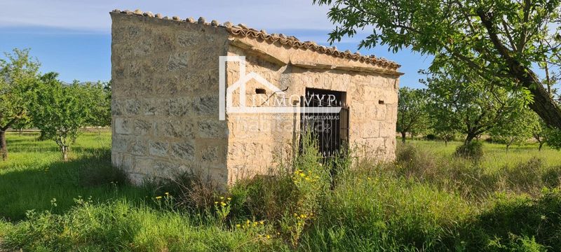 Foto ba307003-412f-4dd1-8966-3cc548f971d5. Masia a Es Blanquer Inca