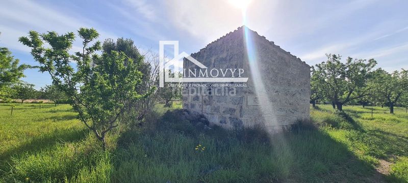 Foto c0e68c48-00e8-4f6b-990f-f557920d9146. Masia a Es Blanquer Inca