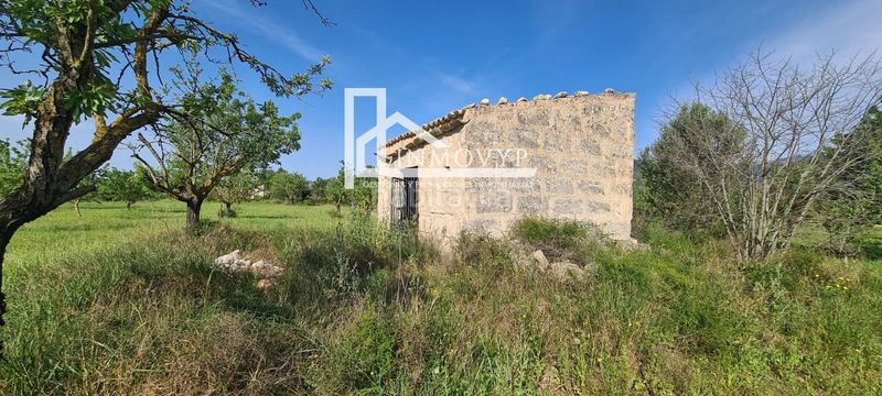 Foto ea05f8fe-7ca2-4f5f-a45b-f543e7df74e8. Masia a Es Blanquer Inca