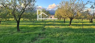 Masia a Es Blanquer. Finca r�stica en inca