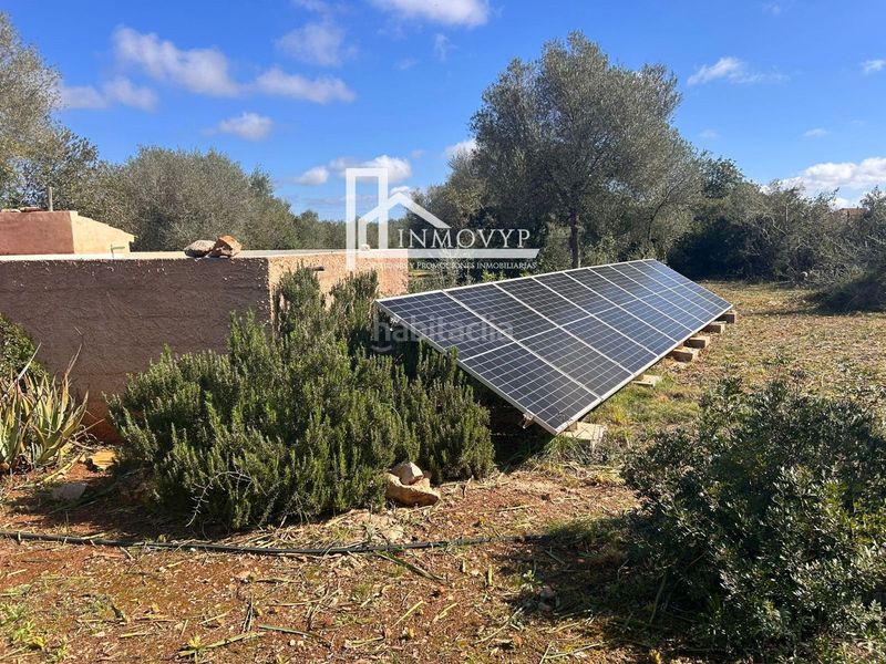 Foto 50d90f15-1829-4a3d-9479-169cb6929a74. Masia a Manacor centre Manacor