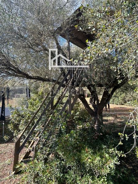 Foto 59317c62-1918-4912-a69d-d10d721e0957. Masia a Manacor centre Manacor