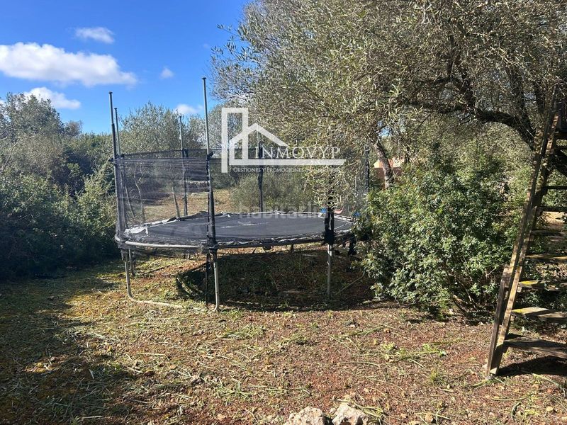 Foto 2fb3e139-b4b5-4544-aca6-5c3f7733a40a. Masia a Manacor centre Manacor