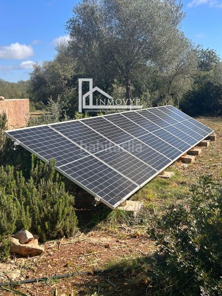 Foto 6b818889-c282-4cbb-b7c7-5dcc3e045c08. Masia a Manacor centre Manacor