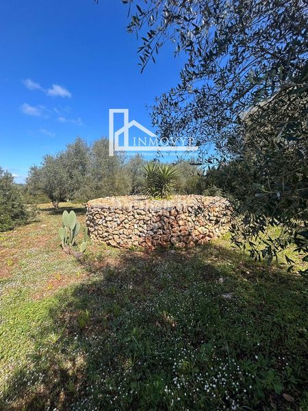 Foto 9939cd18-450b-4138-b509-7fa99541440d. Masia a Manacor centre Manacor