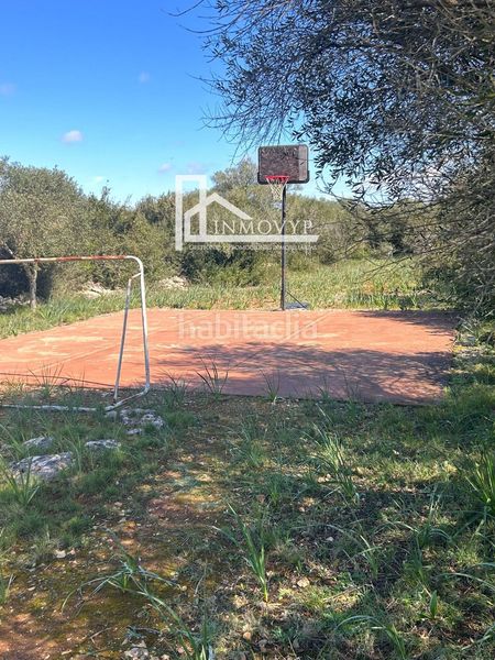 Foto d2b08f94-f386-4089-9aea-c9cbc8141612. Masia a Manacor centre Manacor