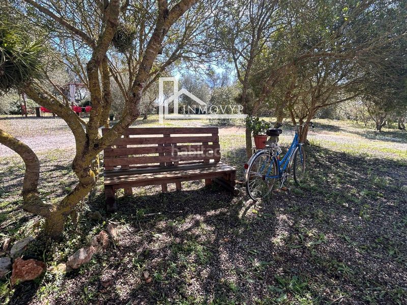 Foto e2c5b6ee-e0da-476b-8916-97f037535d54. Masia a Manacor centre Manacor