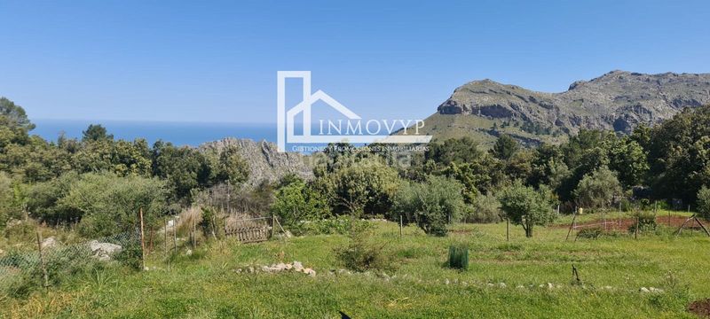 Foto f662a4d6-cd85-458e-9a4b-34110e5c22b4. Casale in Escorca