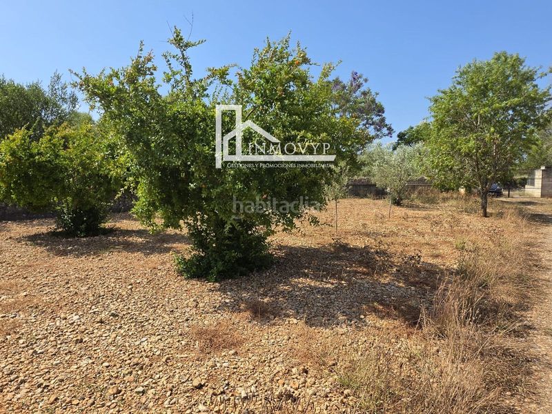Foto 06c8a37d-a064-4636-9b72-914d3cbe20f0. Finca rústica a Llubí