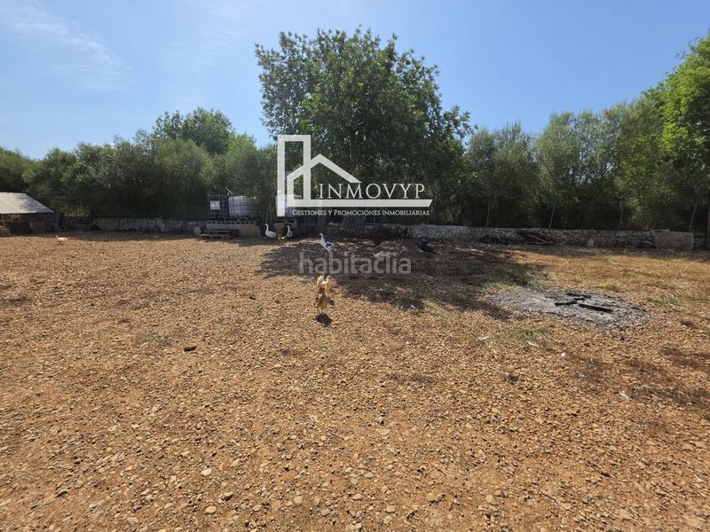 Foto 08148d62-6be4-46c1-8978-a712aef031f2. Finca rústica a Llubí