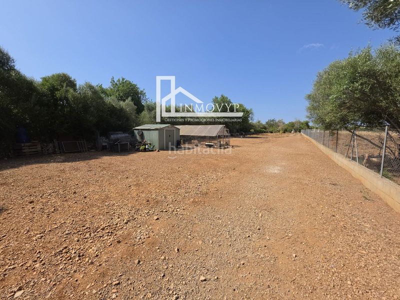 Foto 1c0e1ac2-5a9b-4195-b935-91a878efa4ce. Finca rústica a Llubí