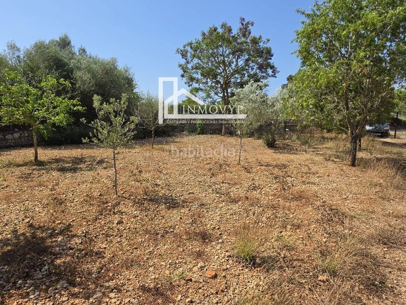 Foto 20edf5e0-7ce3-431d-b0c5-6e24163ca1a3. Finca rústica a Llubí