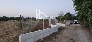 Finca rústica a Llubí. Parcela agricola en zona llubi