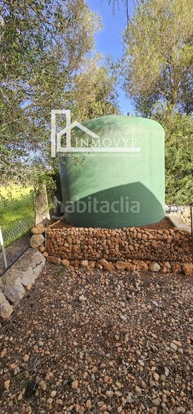 Foto 694ce216-8327-4e48-ae67-3c00d13df724. Finca rústica a Llubí