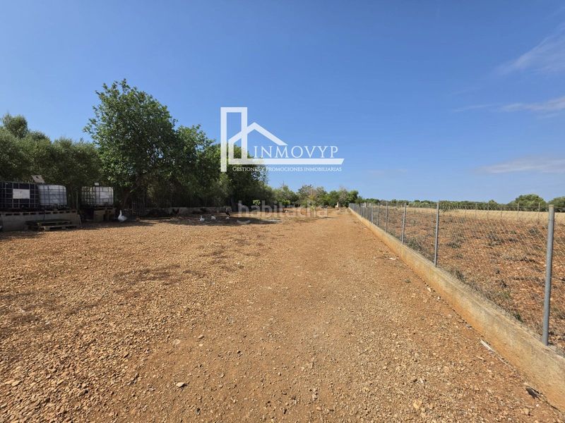 Foto 8f8167f0-ea4c-4f0d-86b6-e7f35268486b. Finca rústica a Llubí