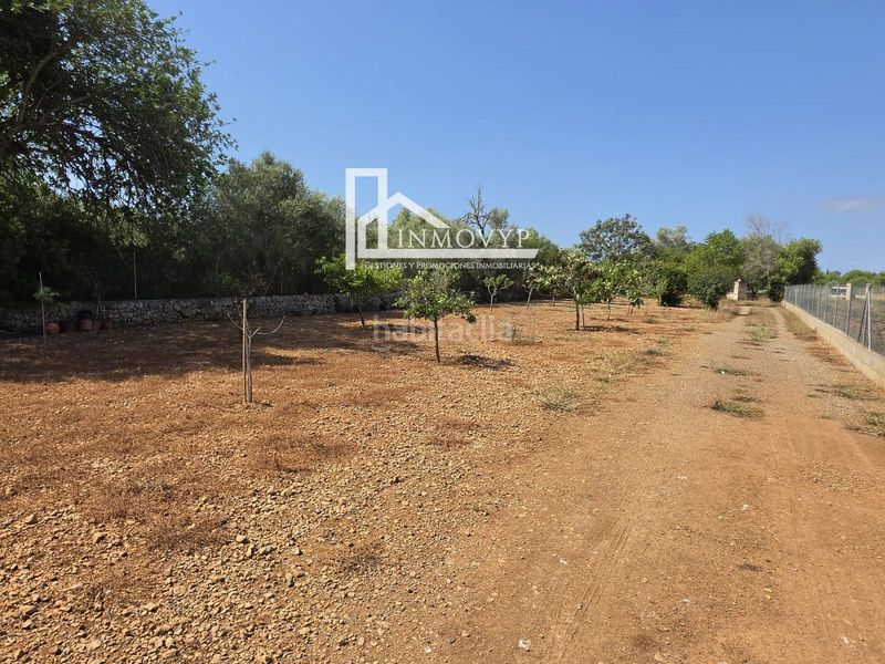 Foto a3966b25-9b6a-4e16-9596-12d0fc45f5dd. Finca rústica a Llubí