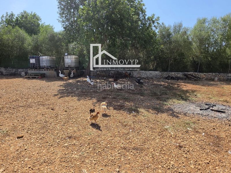 Foto b4bd8cd9-9611-4e8e-80ae-752fdd51cc50. Finca rústica a Llubí