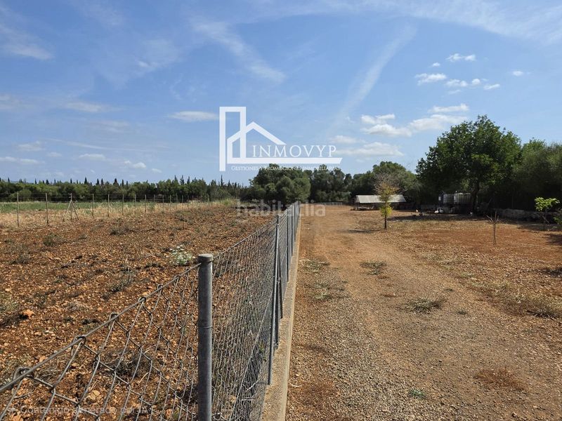 Foto bd5ab21f-05e8-4a95-84b6-ad9dd07601f6. Finca rústica a Llubí