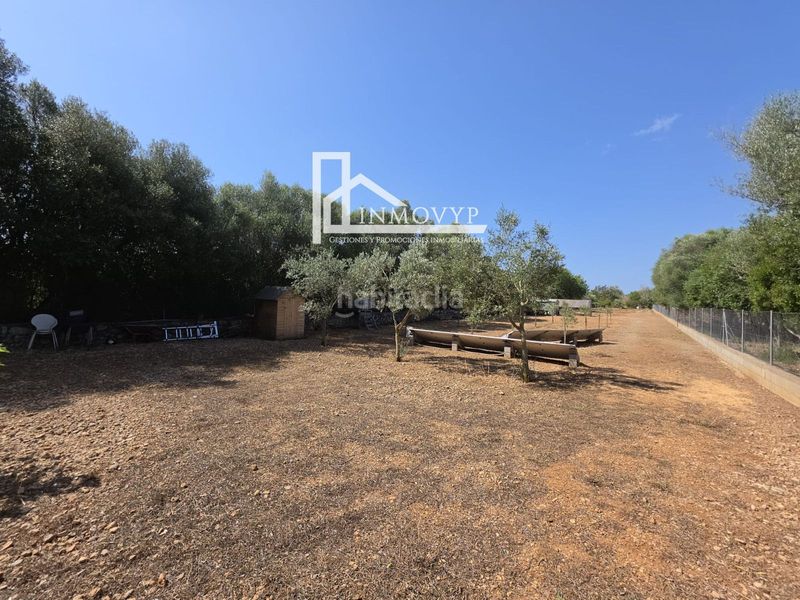 Foto be05990a-e6a7-4c65-b4a4-6e2a0a059075. Finca rústica a Llubí