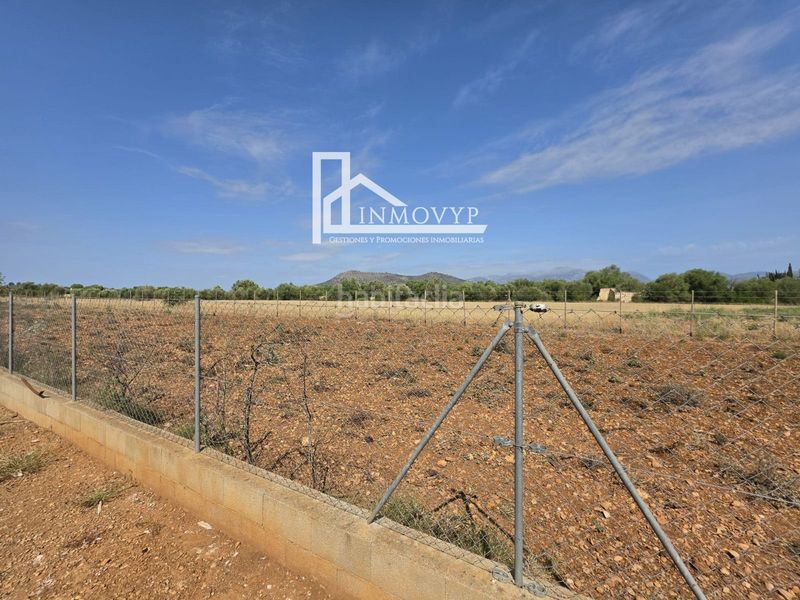 Foto e39763ef-107b-4902-b026-5aeaa0383af5. Finca rústica a Llubí