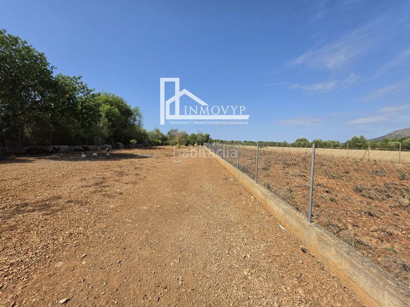 Foto f3da6006-3546-49da-9df2-b90a3efa022d. Finca rústica a Llubí