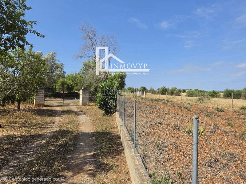 Foto f6e77036-c0da-40e8-9d62-43911f3d819e. Finca rústica a Llubí