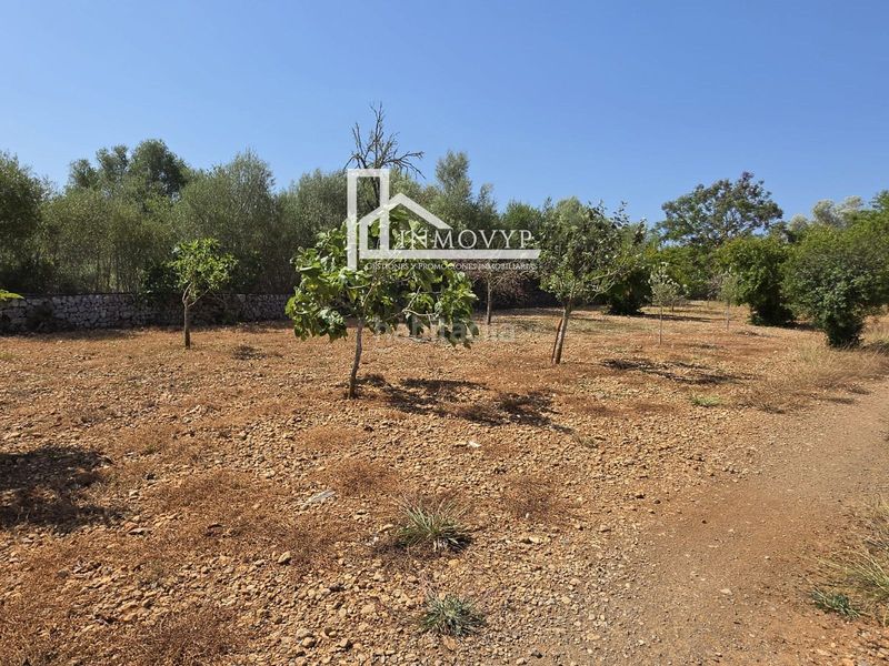 Foto f7bd48a3-f0dc-4b20-a5c8-63d52ab2522f. Finca rústica a Llubí