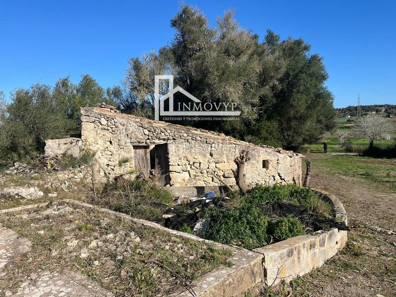 Foto 1ec6f0d9-446a-4950-8332-cba7bcc1181a. Masia a Petra
