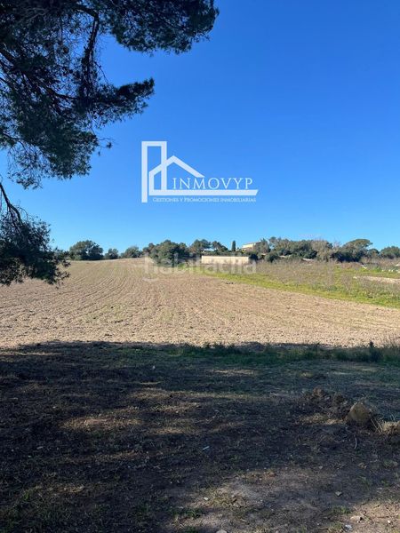 Foto 5be301c6-2922-494d-9dac-c9cb3d41e554. Masia a Petra