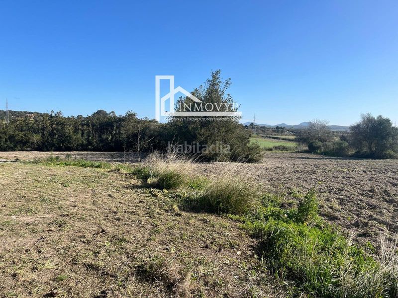Foto 68a5a88a-4552-42d4-a910-4269500768f1. Masia a Petra
